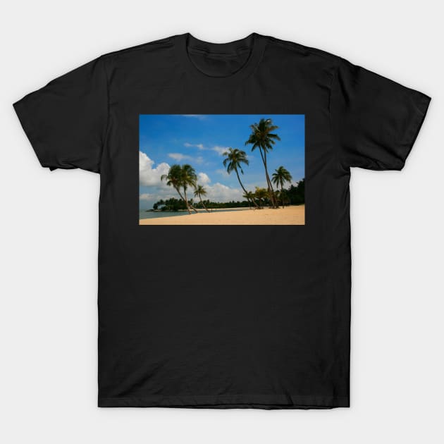 A Palm Covered Beach T-Shirt by jwwallace